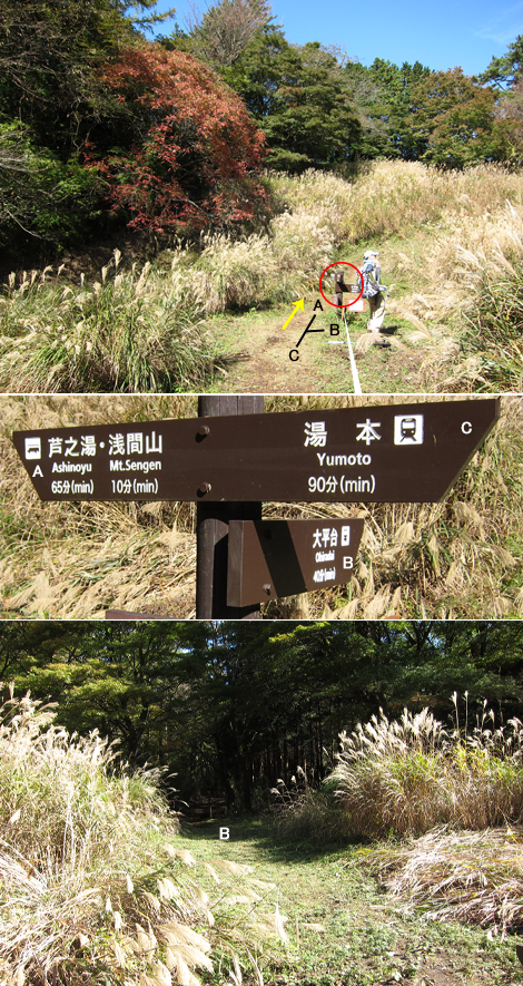 20201105hike (93)